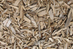 biomass boilers Leziate